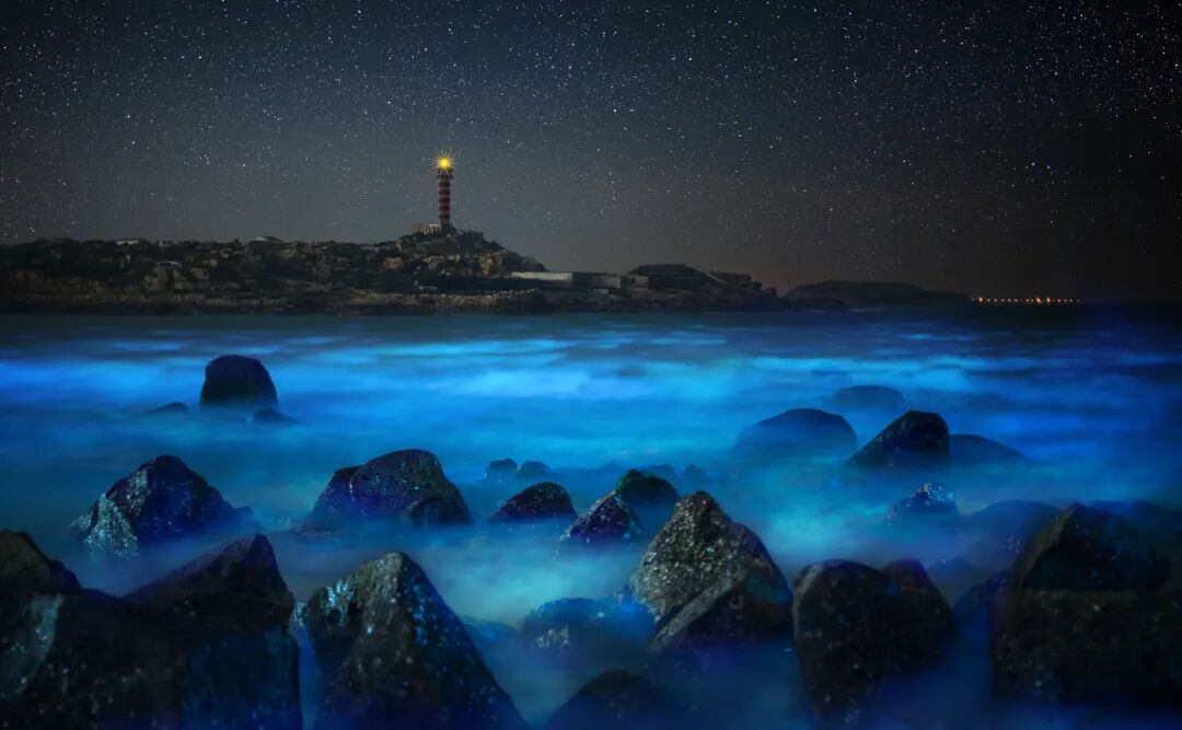 4月春假旅行榜｜挖到被低估的小城，春色比扬州更撩，钻进紫蓝色花海被治愈！