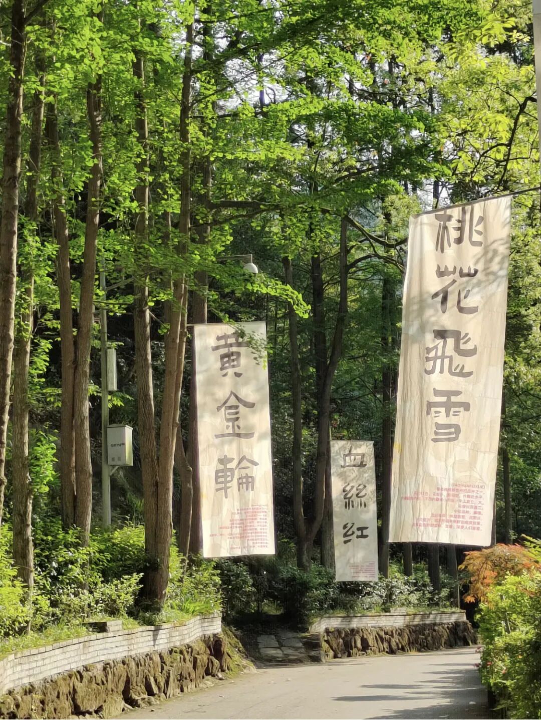 高铁20分钟！这座藏在成都边上的神仙小城，比乐山更好吃！