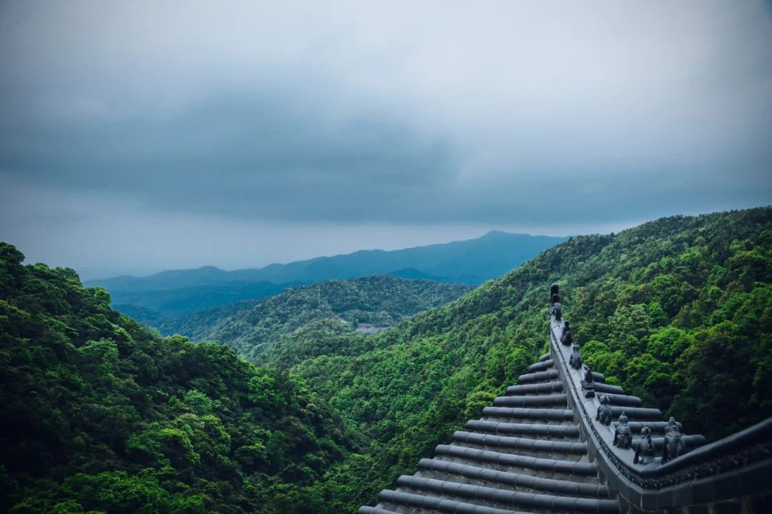 中国中盐怎么样_中国最好盐第一名_中国最好的盐出自哪里