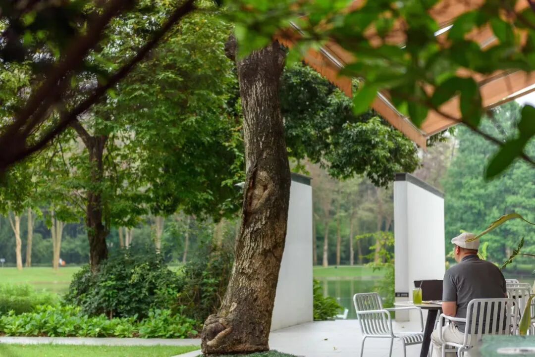 比厦门悠闲，美食不输扬州！初秋红叶漫天，谁不爱这座幸福感老城？