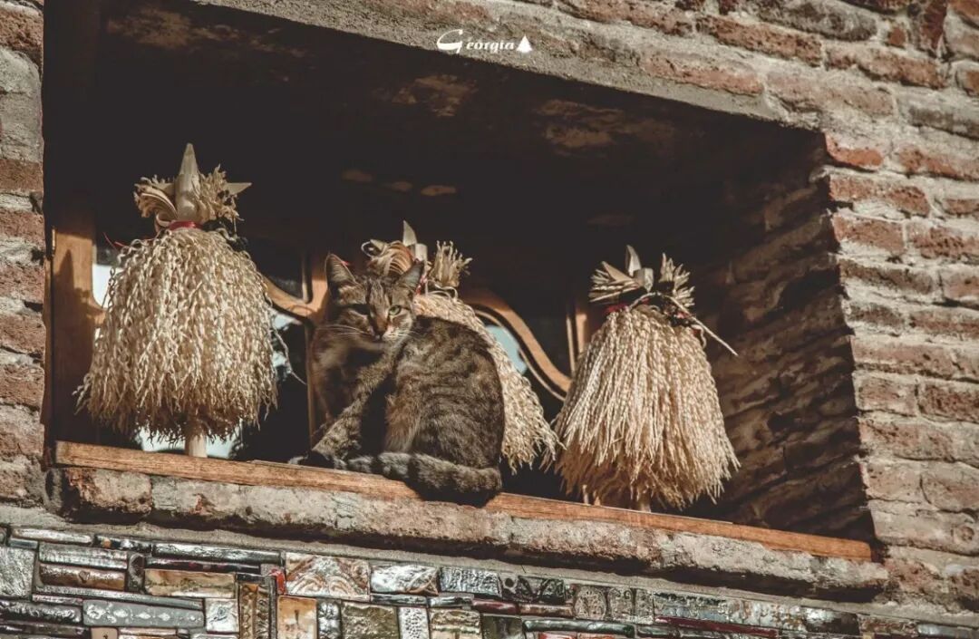 刚对华免签！却拒不出席亚运会？这个最欧洲的亚洲小国，到底藏着什么！