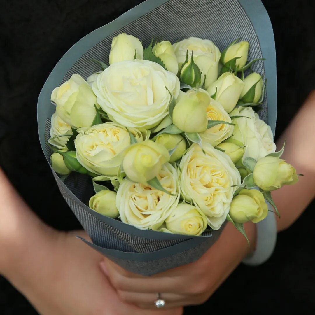 月季安吉拉和胭脂扣哪个好_月季安吉拉是一季花吗_安吉拉月季