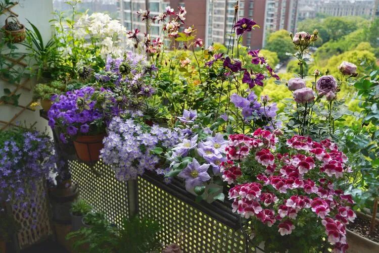 不足4㎡的绝美花园！小阳台如何做到大折腾？