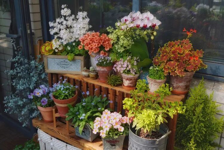 不足4㎡的绝美花园！小阳台如何做到大折腾？