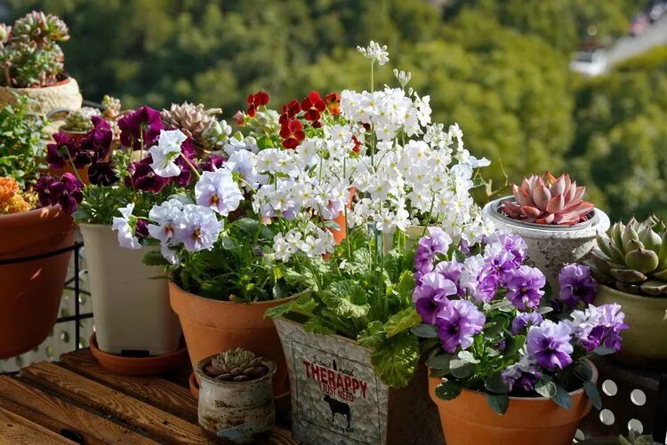 不足4㎡的绝美花园！小阳台如何做到大折腾？