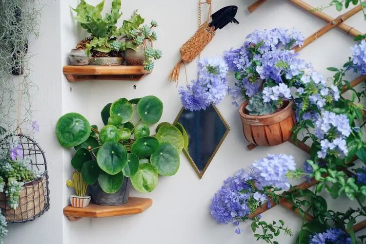 不足4㎡的绝美花园！小阳台如何做到大折腾？