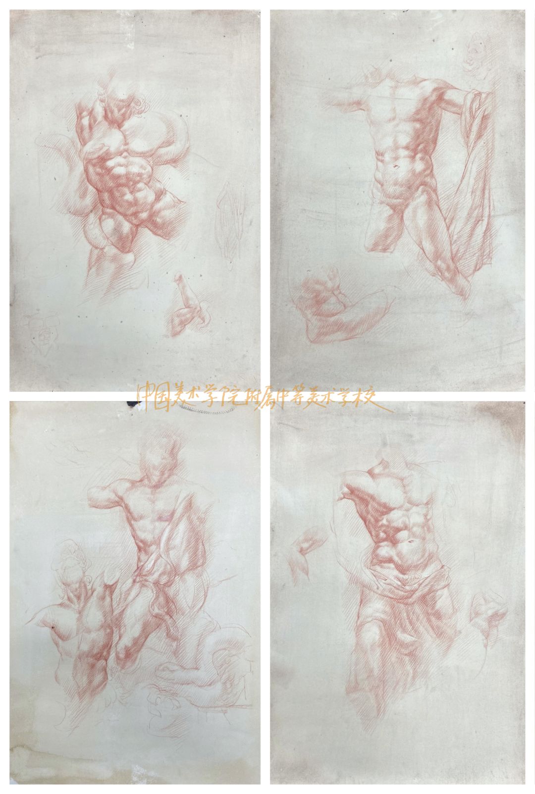 中国美术学院附中2020级学生，帕加马祭坛写生！(图29)