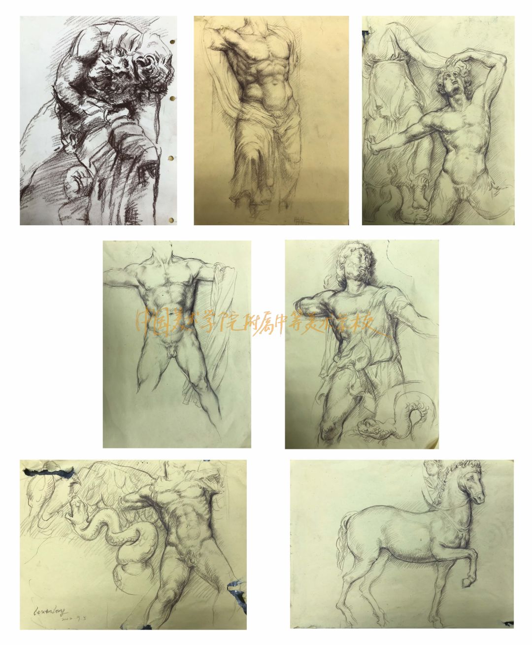 中国美术学院附中2020级学生，帕加马祭坛写生！(图43)