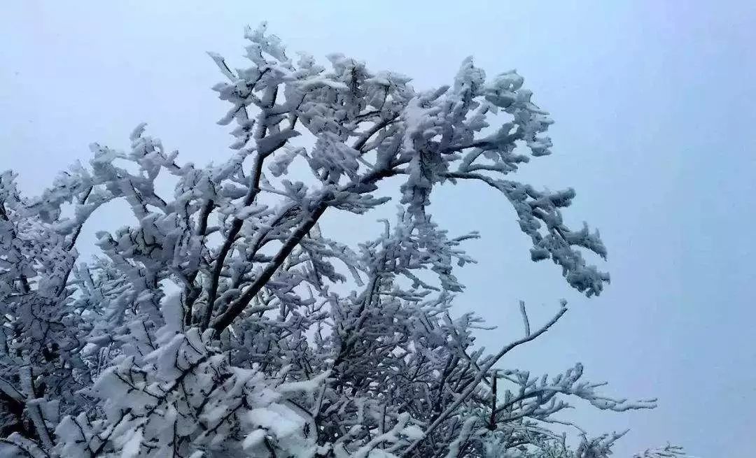 險峰幻疊 雲海浩翰 河南這裡的風景美不勝收 未分類 第22張