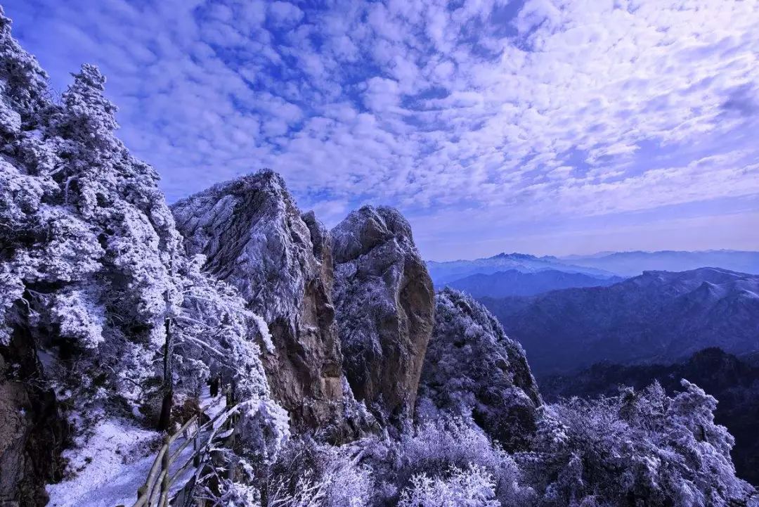 險峰幻疊 雲海浩翰 河南這裡的風景美不勝收 未分類 第18張