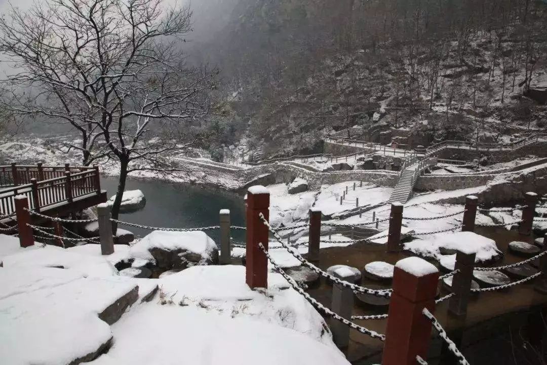 險峰幻疊 雲海浩翰 河南這裡的風景美不勝收 旅遊 第20張