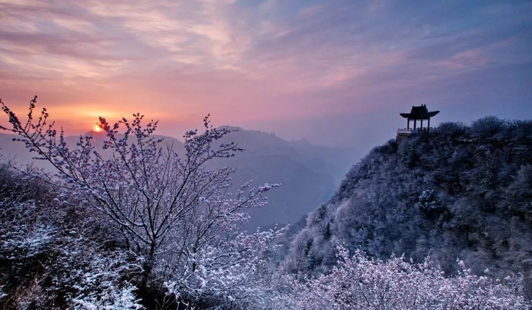 險峰幻疊 雲海浩翰 河南這裡的風景美不勝收 未分類 第8張