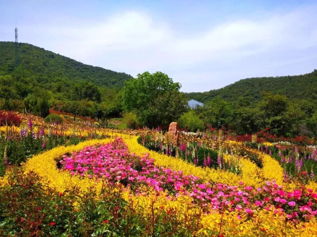 河南境內的這座山又美又低調，還藏著24℃的夏天 旅行 第16張