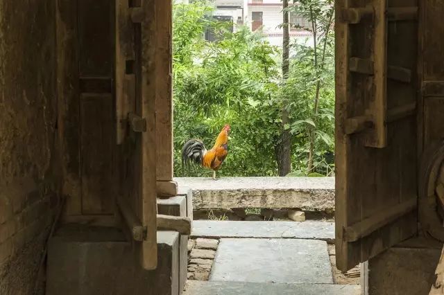 橋是出入的唯一通道，河南這個深山里的古村落讓時光慢下來 旅行 第36張