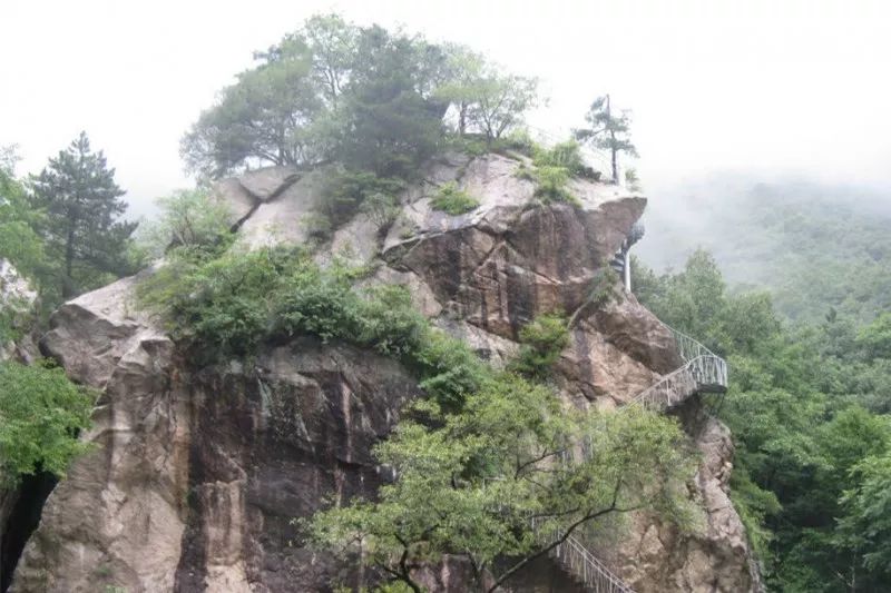 河南西南處藏著個森林氧吧，山青水秀，讓你過一個25℃的夏天 旅行 第15張