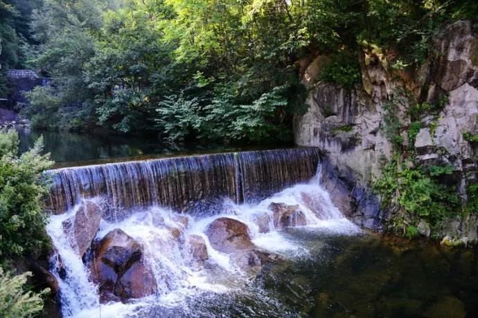 河南西南處藏著個森林氧吧，山青水秀，讓你過一個25℃的夏天 旅行 第18張