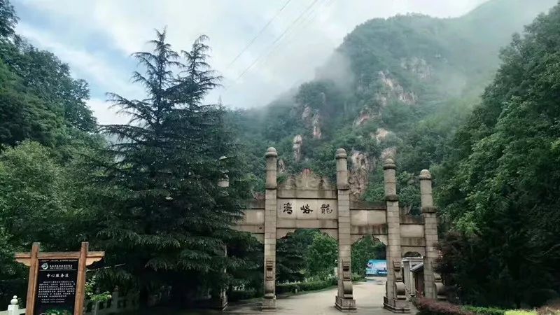 河南西南處藏著個森林氧吧，山青水秀，讓你過一個25℃的夏天 旅行 第5張