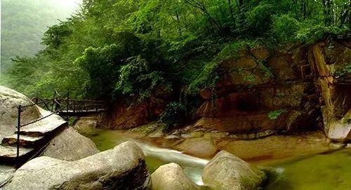 河南西南處藏著個森林氧吧，山青水秀，讓你過一個25℃的夏天 旅行 第13張