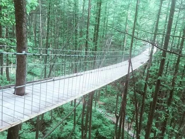 河南西南處藏著個森林氧吧，山青水秀，讓你過一個25℃的夏天 旅行 第24張