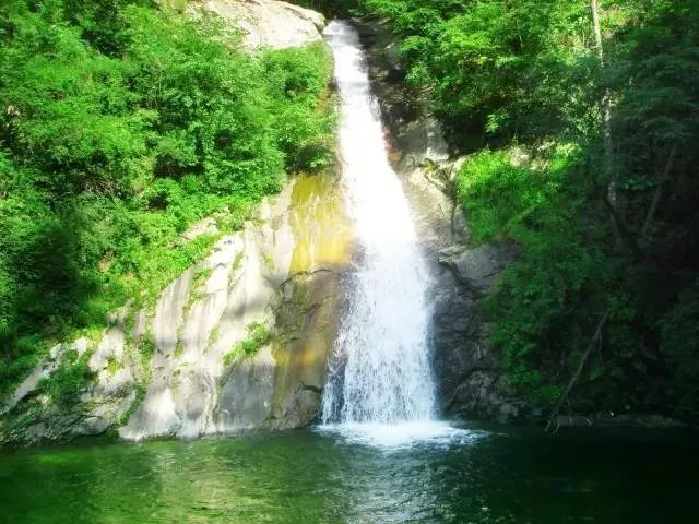 河南西南處藏著個森林氧吧，山青水秀，讓你過一個25℃的夏天 旅行 第19張