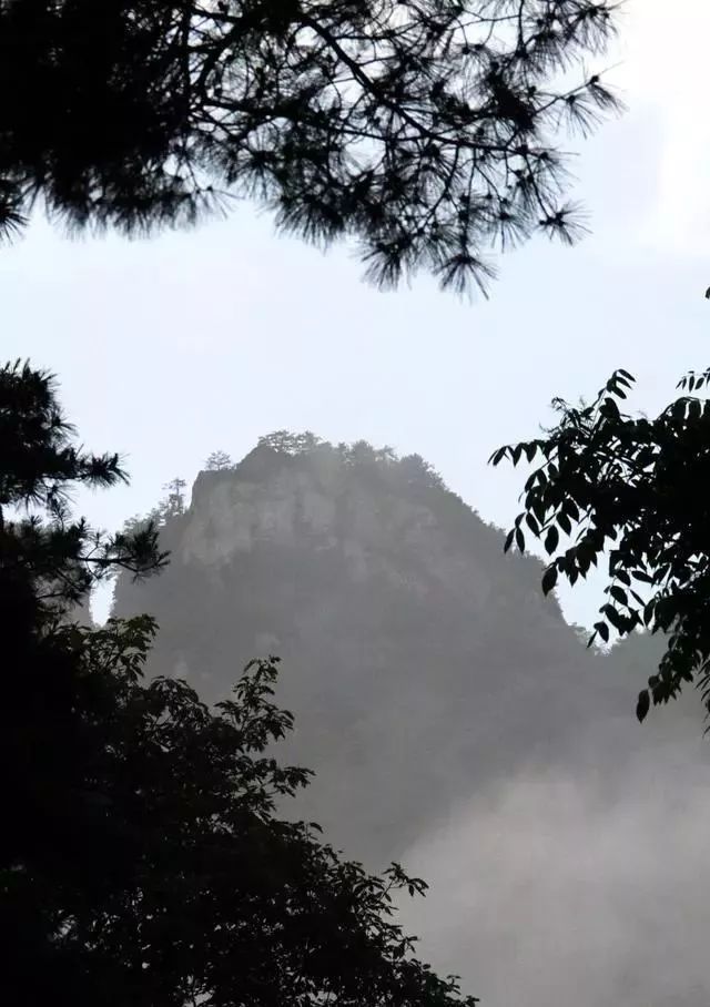 住樹屋、看日出……河南這裡有孩子們最喜歡的夏天 旅行 第18張