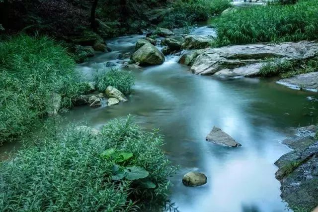 住樹屋、看日出……河南這裡有孩子們最喜歡的夏天 旅行 第22張