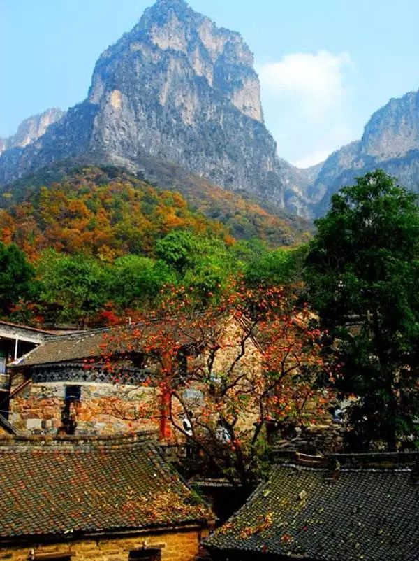 河南這座山村曾住著李世民的紅顏知己  每到秋天風景如畫 旅行 第25張