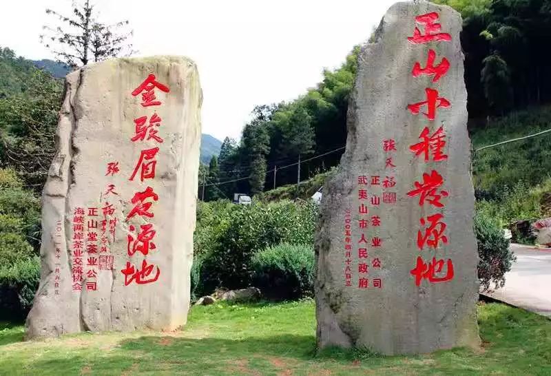 正山小种堪称红茶鼻祖，产于福建武夷山桐木村，已经400多年的历史