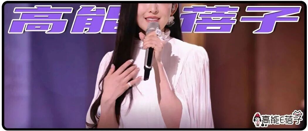 范玮琪的中年困局:如果梦想不曾坠落悬崖