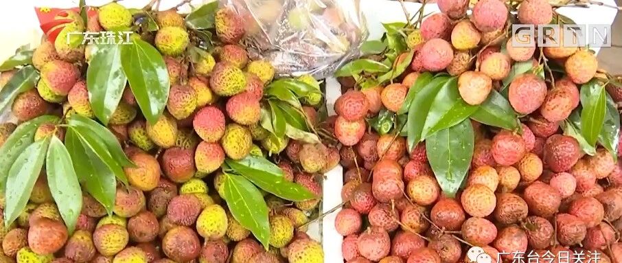 当心这种病！10岁男孩空腹吃2斤荔枝后抽搐昏迷，医生：严重可致死