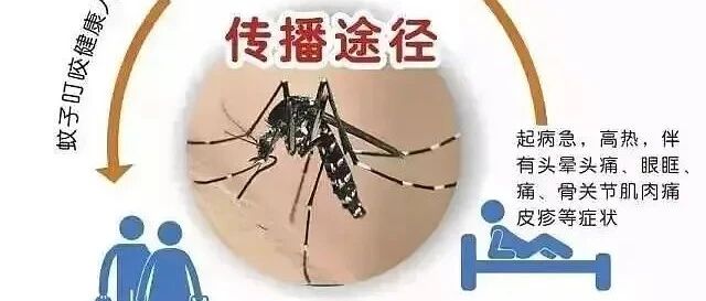 警惕！国内一地出现急性传染病 ​官方紧急通报