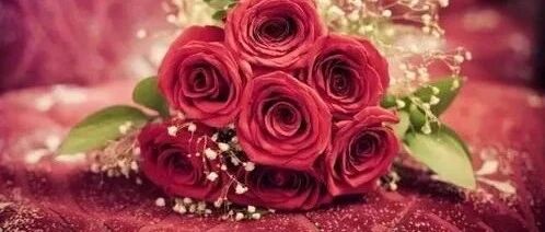 纪实 | 善待他们，就是善待我们自己