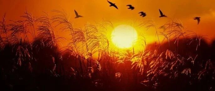 王纪人：秋日谈诗何悲秋