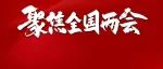 聚焦两会丨破解养老难题，平安养老险构建多层次养老保障体系