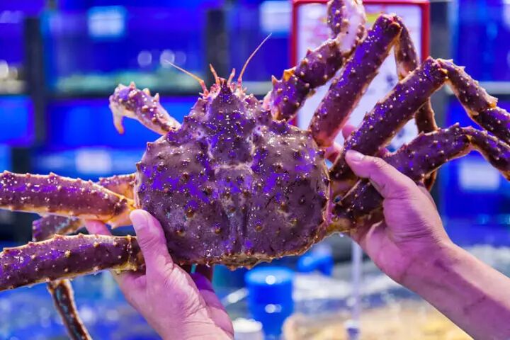 终于来渠县!帝王蟹,澳州龙虾霸气来袭