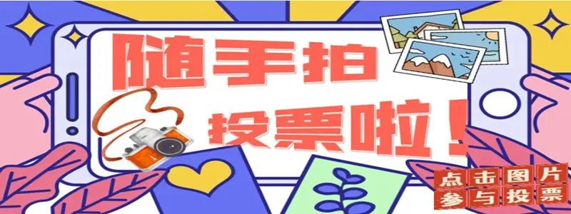 鹅致富歌_致富经鹅_鹅致富路