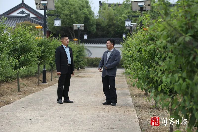 致富经鹅_鹅致富歌_鹅致富路
