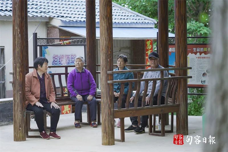 鹅致富路_致富经鹅_鹅致富歌