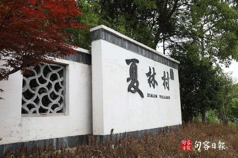 致富经鹅_鹅致富歌_鹅致富路
