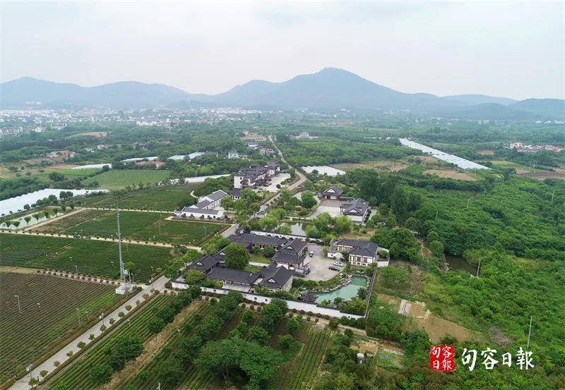 鹅致富路_致富经鹅_鹅致富歌