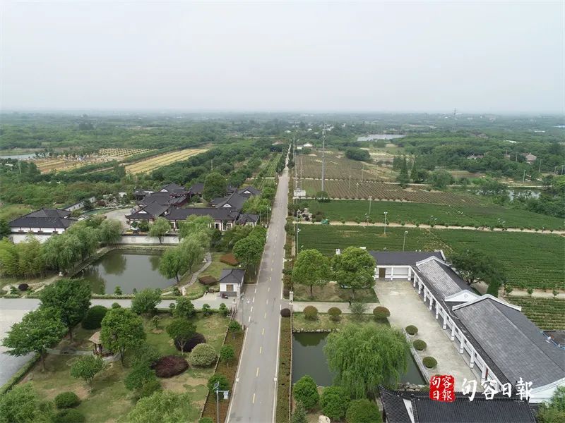鹅致富歌_鹅致富路_致富经鹅