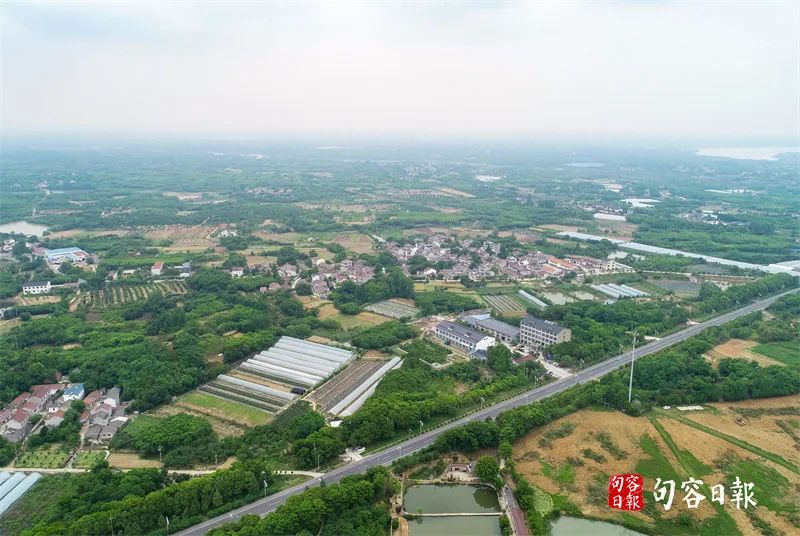鹅致富路_鹅致富歌_致富经鹅