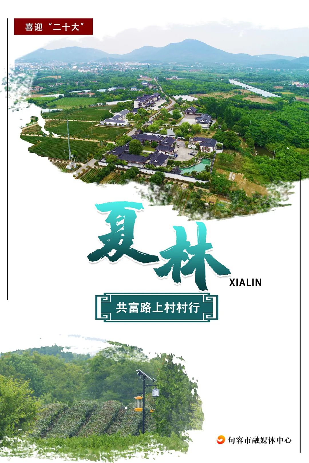 鹅致富歌_鹅致富路_致富经鹅