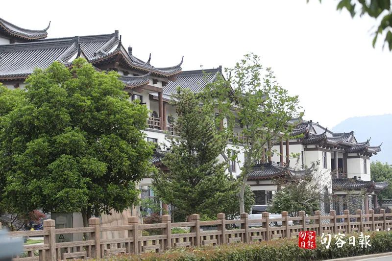 鹅致富歌_鹅致富路_致富经鹅