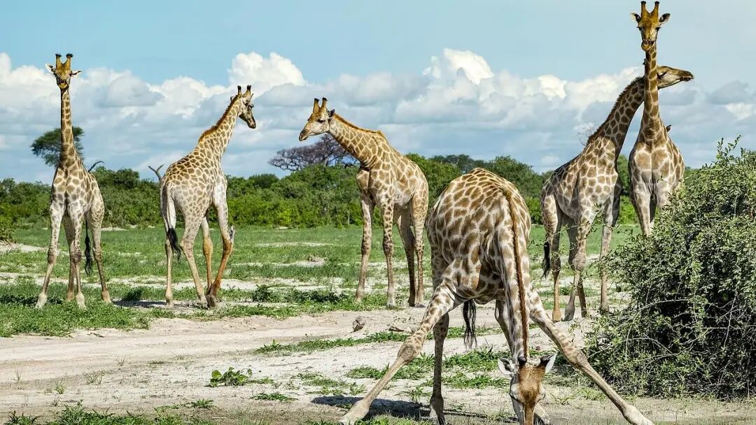 入境门槛太高！澳洲游客纷纷“拉黑”美国，转战欧洲与斐济（组图） - 1