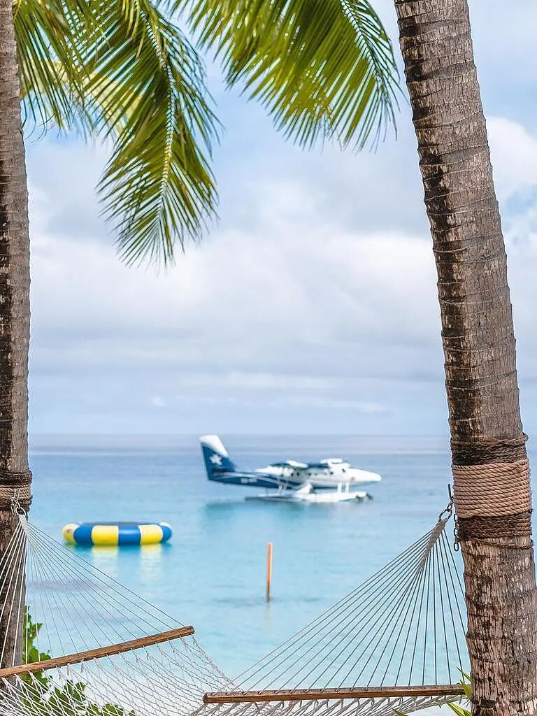 入境门槛太高！澳洲游客纷纷“拉黑”美国，转战欧洲与斐济（组图） - 2