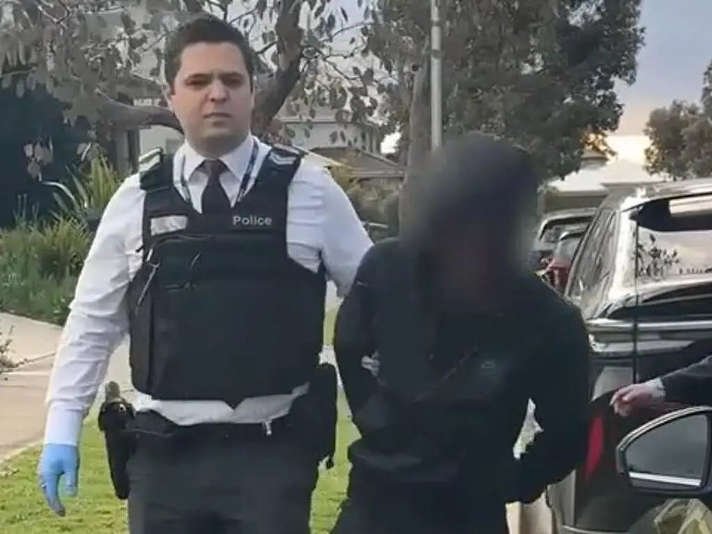 墨尔本街头血案震惊全澳！两少年回家途中被活活捅死，8名青少年被控谋杀！警方：认错了人（组图） - 3