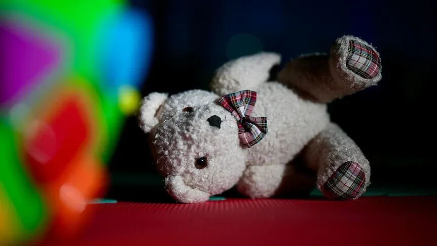 澳托儿所虐童丑闻曝光：掌掴幼童、暴力摇晃、藏娈童材料…（组图） - 1