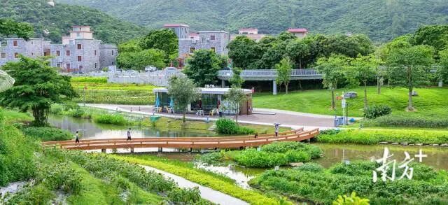 木头冲村。图源：南方+