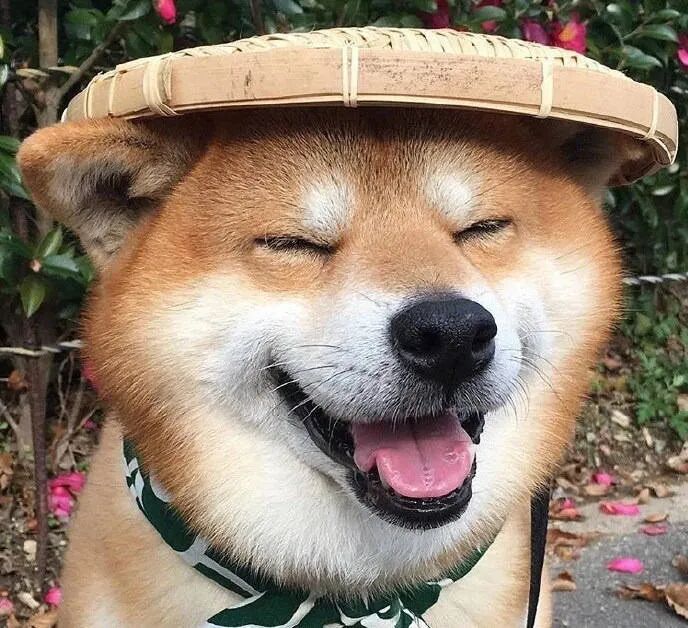 抖音头像:喝奶茶头像